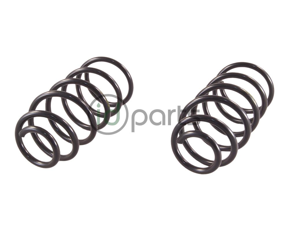 Front Spring (A4 Jetta Wagon VR6) Picture 2