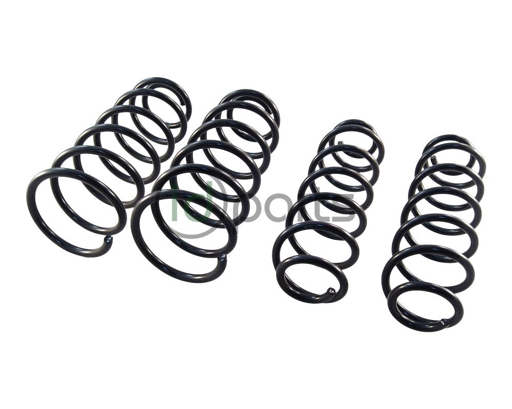 Complete Spring Set (A4 Jetta Wagon) Picture 1