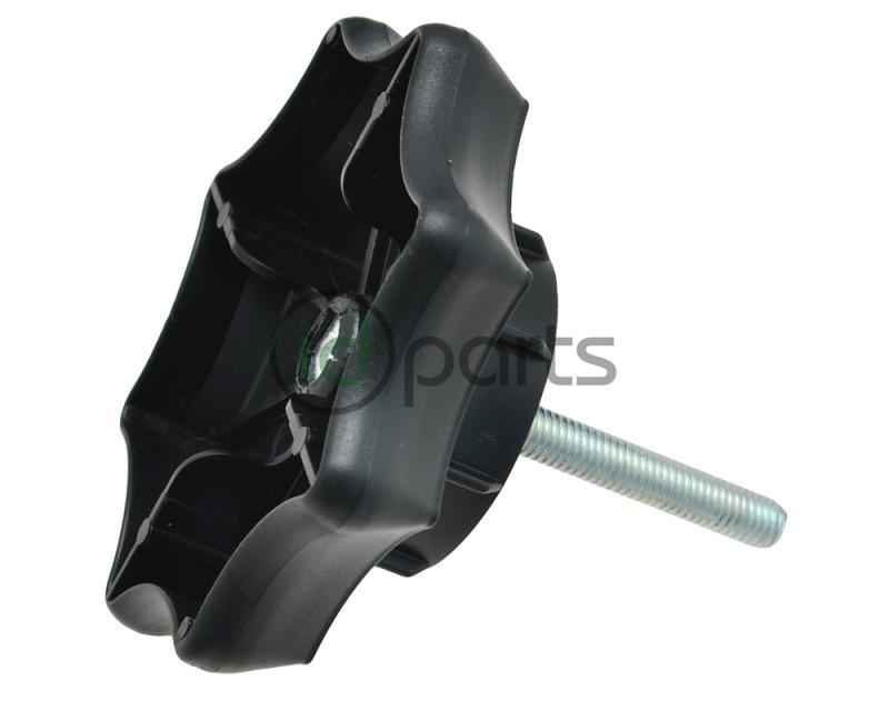 Spare Tire Securing Bolt (A4) Picture 1