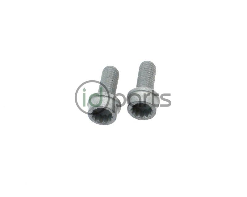 EGR Cooler Pipe Bolt Pair (A4) Picture 1