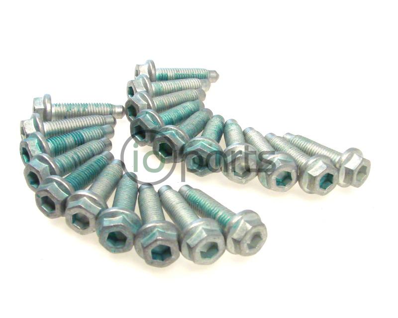 Oil Pan Bolt Set (20) (All 4-cyl TDI) Picture 1