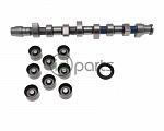 Camshaft Replacement Kit (ALH)