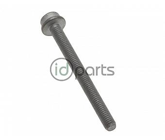 Fuel Filter Clamp Screw (A4)