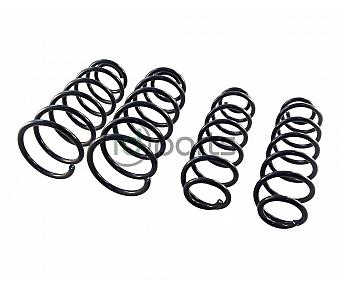 Complete Spring Set (A4 Jetta)
