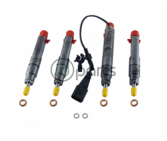 Upgraded Complete Injectors w/ Upgraded Nozzles