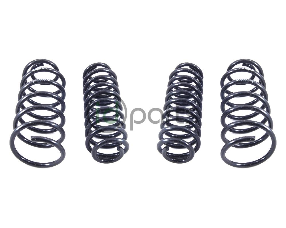 Eibach PRO-KIT Performance Spring Set (A4 Jetta Wagon)