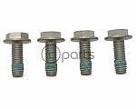 Rear Caliper-Carrier Bolt Set (4 bolts) (A4)(B5.5)(260mm)(253mm)(NMS 272)