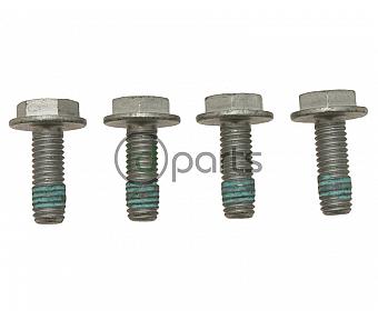 Rear Caliper-Carrier Bolt Set (4 bolts) (A4)(B5.5)(260mm)(253mm)(NMS 272)