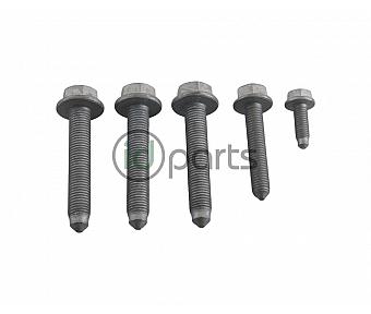 *B* Engine Mount Bolt Set (Beetle CVCA)