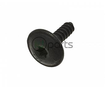 Belly Pan Torx Screw (VW)