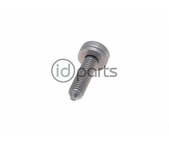 Transmission Filter Bolt [1 Bolt] (B5.5)