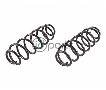 Rear Spring (A4 Jetta Wagon)