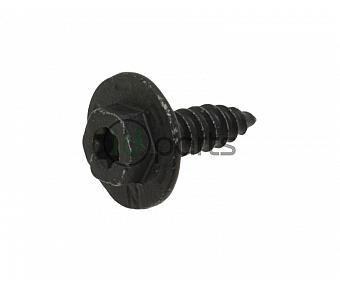 Headlight Screw (A4)