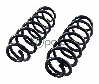 Rear Spring (Tiguan)