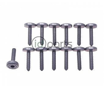 Transmission Pan Bolt Set (EcoDiesel)