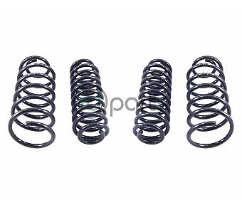 Eibach PRO-KIT Performance Spring Set (A4 Jetta Wagon)