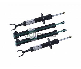 Sachs Strut and Shock Set (B5.5)