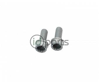 EGR Cooler Pipe Bolt Pair (A4)